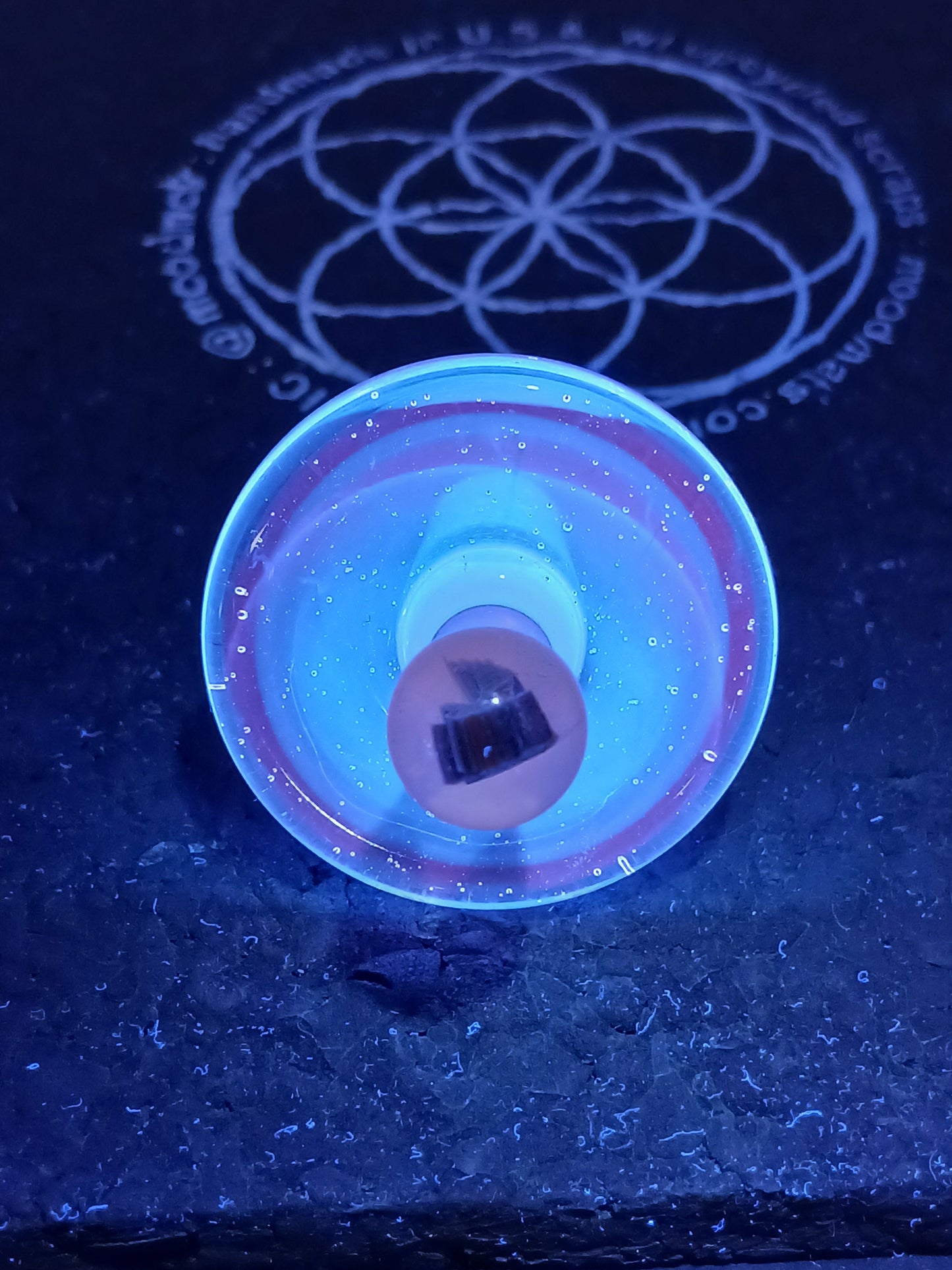 Dragonite luna, pink potion Apex "35mm" X Studios