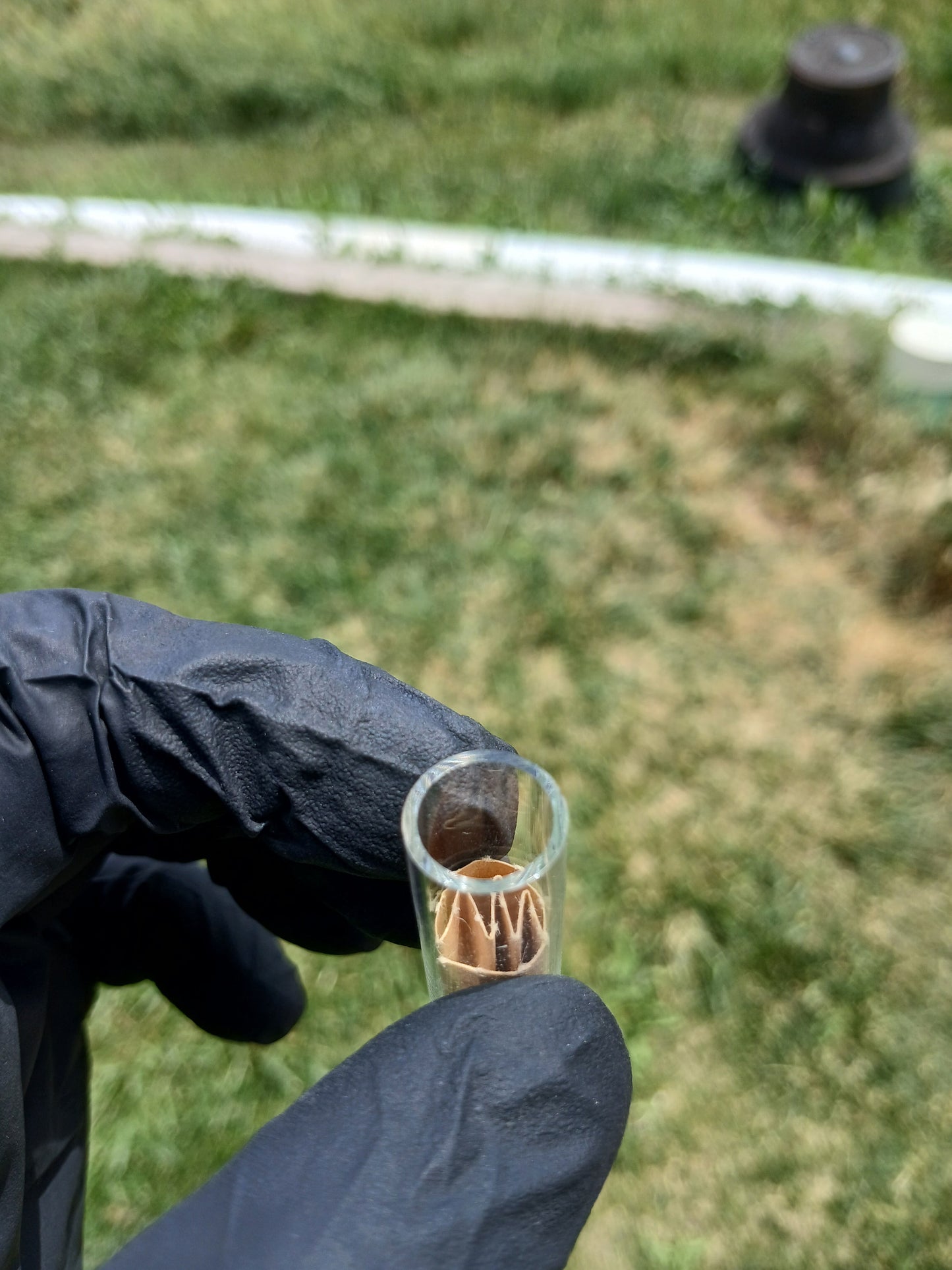Clear Quartz-Blunt/Joint Tip "12mmOD"-"10mmID" X Studios