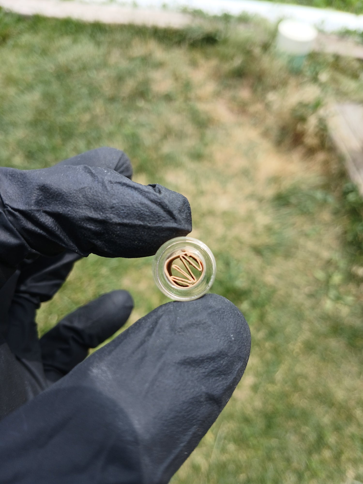 Clear Pyrex blunt/joint tips "15mm length" X Studios